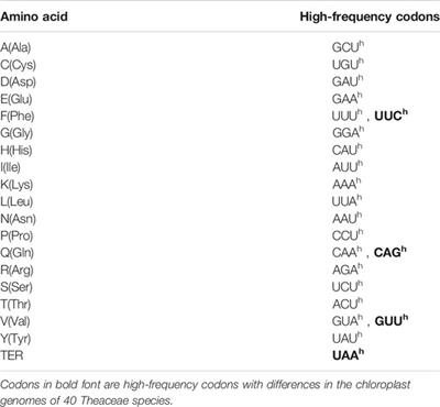 Comparative Analysis of Codon Bias in the Chloroplast Genomes of Theaceae Species